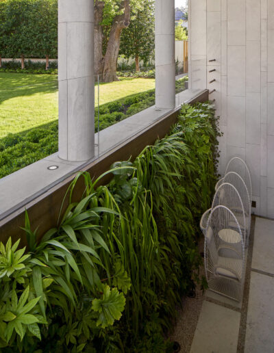 Foliage of a patio in residential home