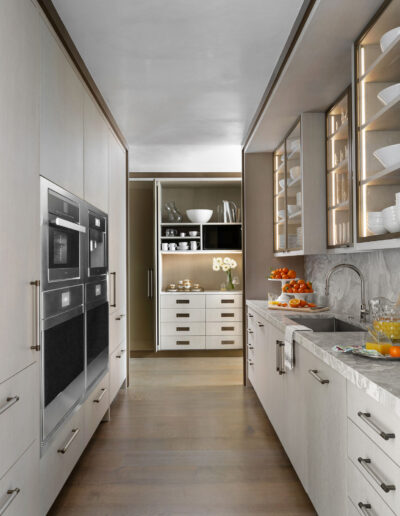 Modern luxurious interior design of kitchen cabinets.